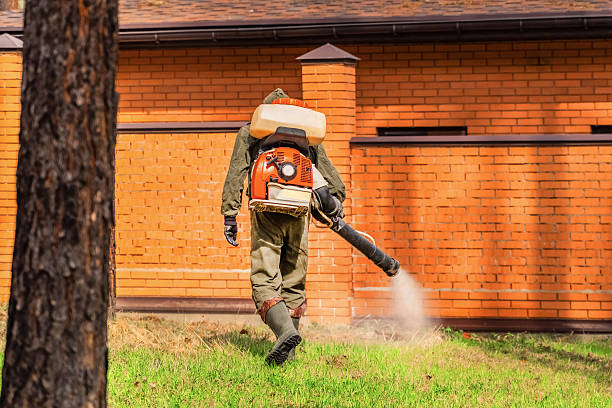 Trusted Ant Control service in Belleair Bluffs, FL - Nex Pest Control